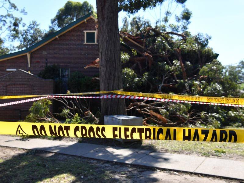 Thousands of Sydney homes in areas hit hardest by intense storms remain without power.