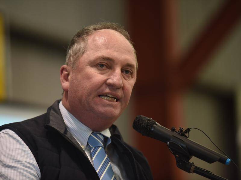 Barnaby Joyce says the coalition will lose the next election unless they make some changes.