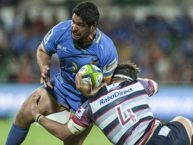 Pek Cowan has returned to the Western Force for the Super Rugby AU campaign.