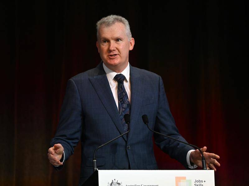 Employment Minister Tony Burke flagged issues with the Fair Work Act he hoped to tackle immediately. (Mick Tsikas/AAP PHOTOS)