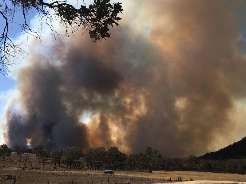 Fires have damaged or destroyed a number of homes in NSW where a firefighter suffered serious burns.