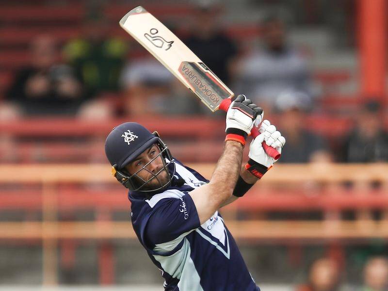 Glenn Maxwell will look to pile on the runs for Victoria after his surprise Test snubbing.
