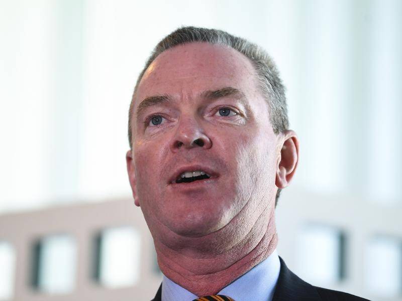 Christopher Pyne says the naval shipbuilding workforce in Australia will grow to around 5200.