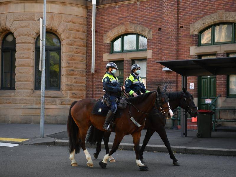 Sydney police arrested 86 people in a public transport crackdown on anti-social behaviour.