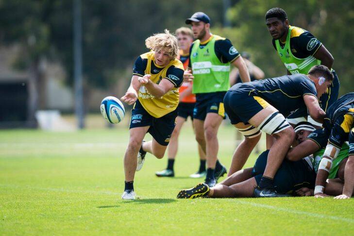 Joe Powell in action during Brumbies training. Photo: Dion Georgopoulos