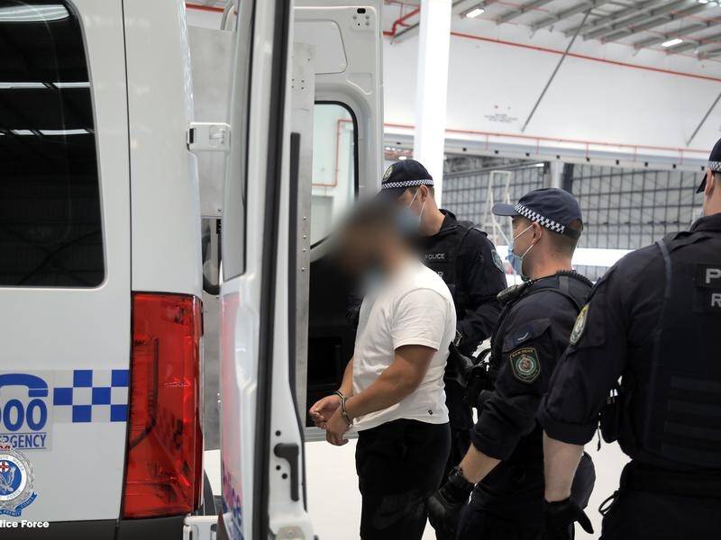 Alleged criminal underworld figure Ibrahem Hamze has been extradited to Sydney.