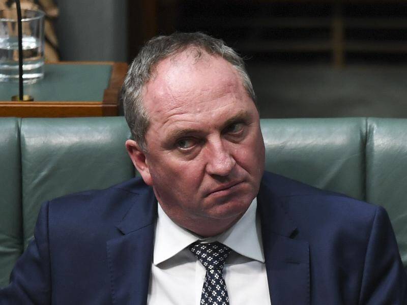 Questions have been raised about a job given to the partner of Deputy PM Barnaby Joyce (File).