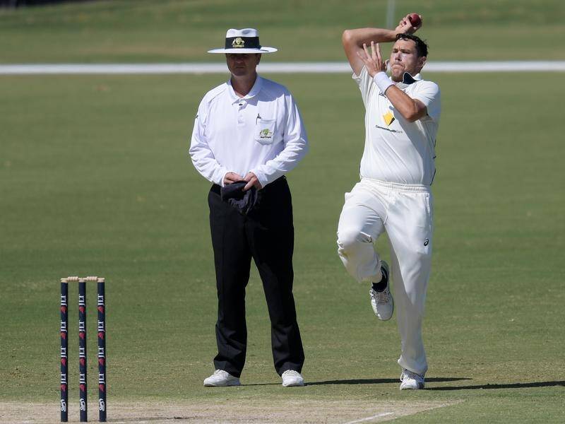 Paceman Scott Boland has led a Sheffield Shield fightback for Victoria against NSW.