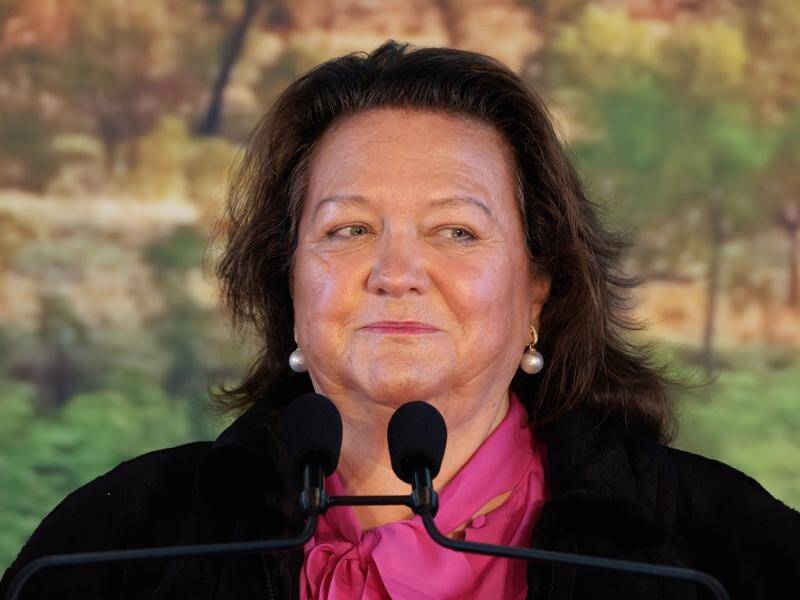 Closing arguments have begun in the trial over the legacy of Gina Rinehart's mining pioneer father. (Richard Wainwright/AAP PHOTOS)