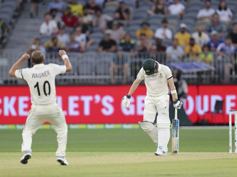 Neil Wagner's plan for Steve Smith came off as the prolific right-hander fell for 43.