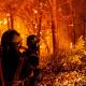 Some 7400 hectares of forests have gone up in flames in the Gironde prefecture. (AP PHOTO)