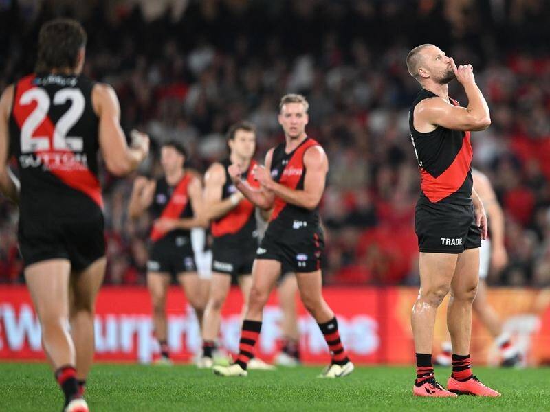 Jake Stringer (R) has kicked Essendon's final goal to snatch a late win against St Kilda. (James Ross/AAP PHOTOS)