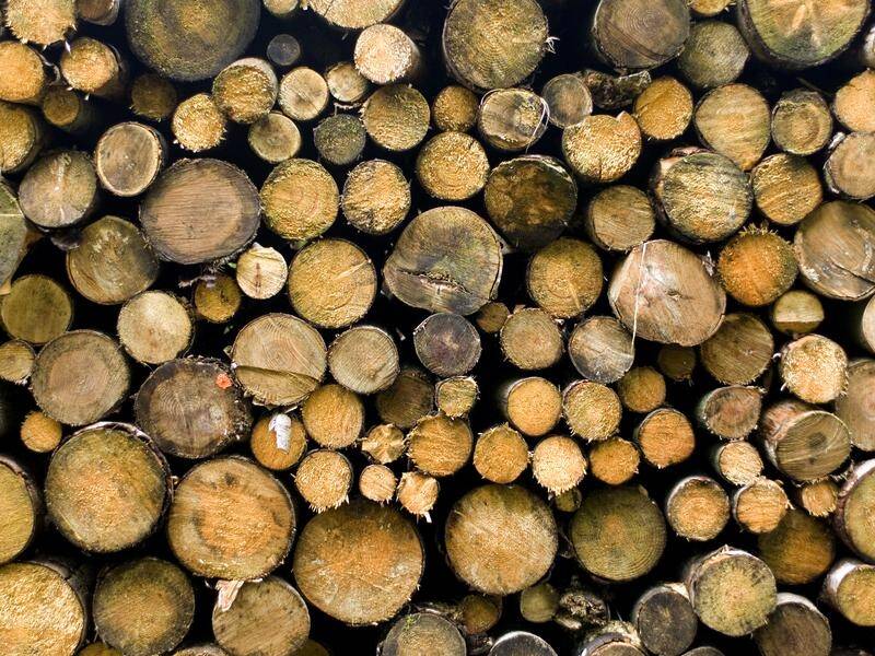 A timber company has been fined for a worker fatality at a NSW central west sawmill.