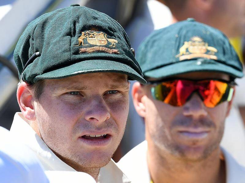 Australian captain Steve Smith and vice captain David Warner are Australia's two leading batsmen.