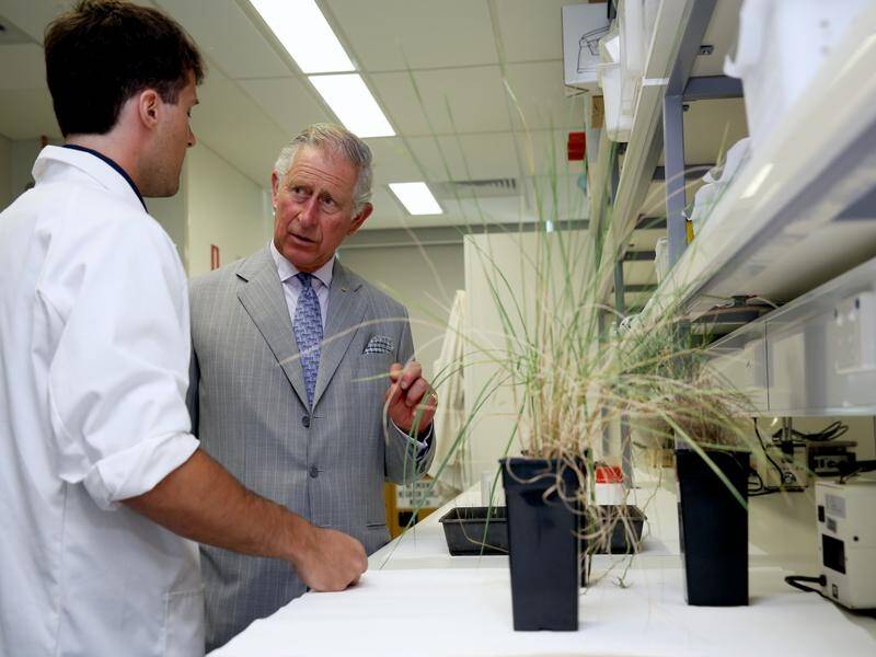 During his Australian tour, Prince Charles expressed great interest in biodiversity conservation.