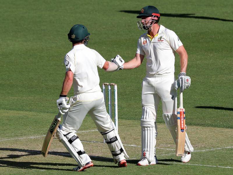 Shaun Marsh (R) being dropped on 24 was a key moment on day one of the the 2nd Test against India.
