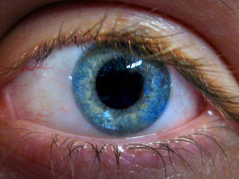 In a breakthrough, scientists have identified the genetic risk factors behind glaucoma.