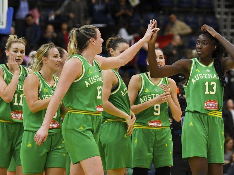 The Opals will face France, Puerto Rico and Brazil in their Olympic qualifying pool in February.