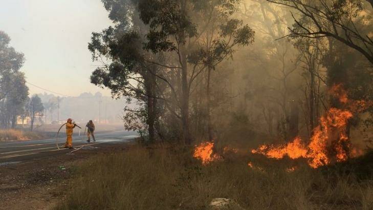 RFS crews battle the blaze in Llandilo. Photo: Twitter/RFS