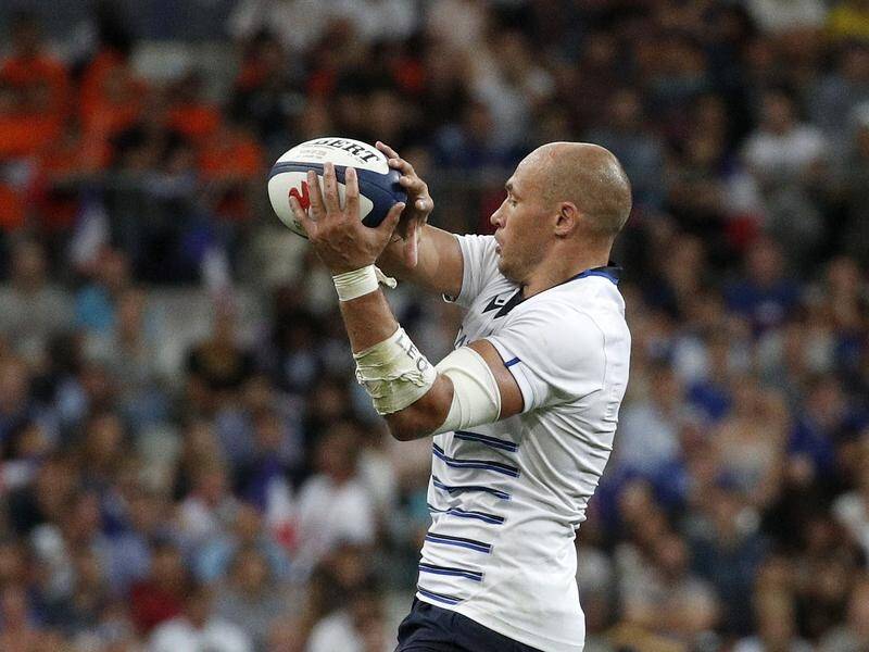 Italy captain Sergio Parisse will be playing in his fifth and final World Cup in Japan.