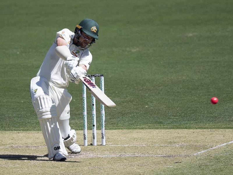 Australia's Travis Head has been dismissed for 56 in the pink-ball Test against New Zealand in Perth