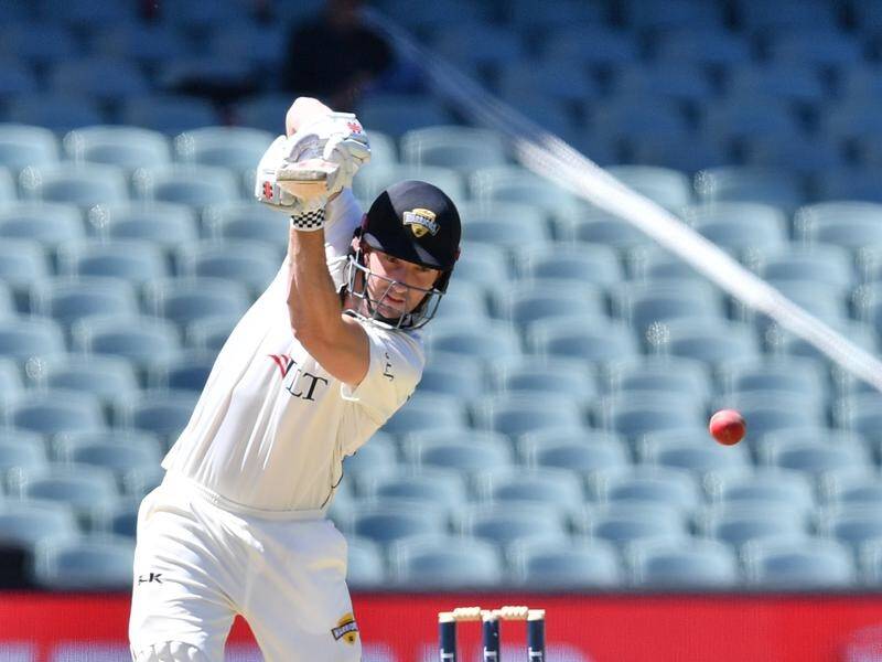 Shaun (pic) and Mitch Marsh have missed out on runs in WA's Shield match against South Australia.