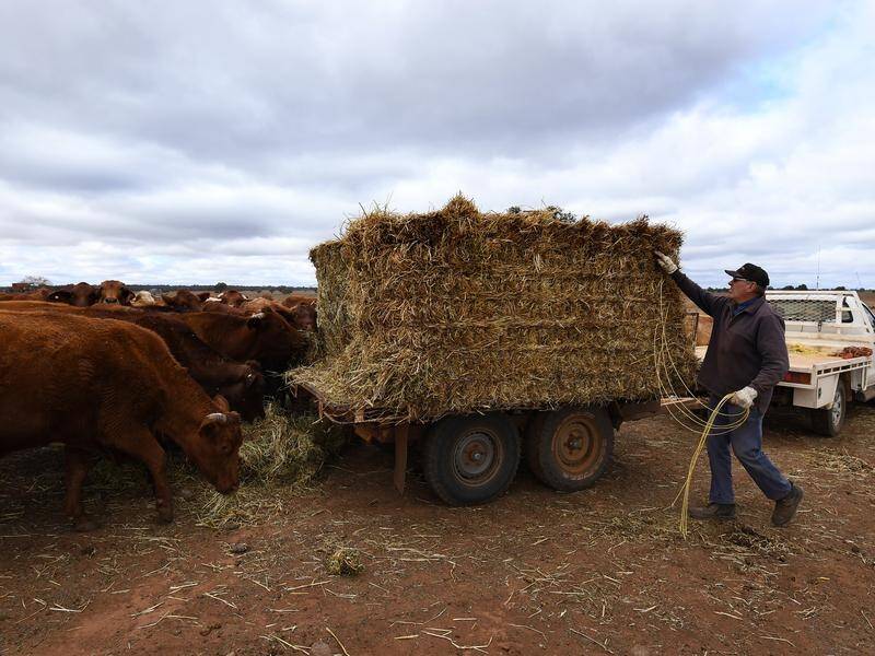 Farmers would go broke in 12 months if they had to rely on weather forecasts, says Wayne Dunford.