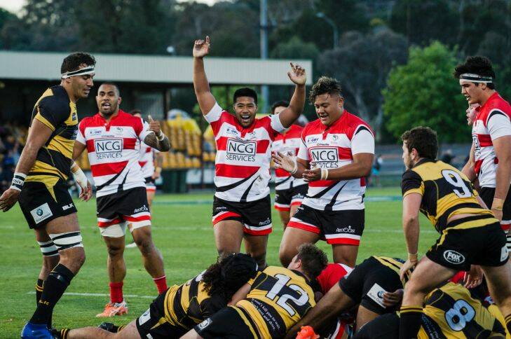 Canberra Vikings v Perth Spirit in National Rugby Championship semi-final.
Vikings celebrate.
Photo: Jamila Toderas