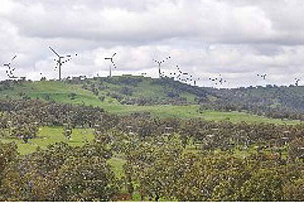 BLOWING IN THE WIND: A photomontage of what the White Rock Wind Farm near Glen Innes will look like.