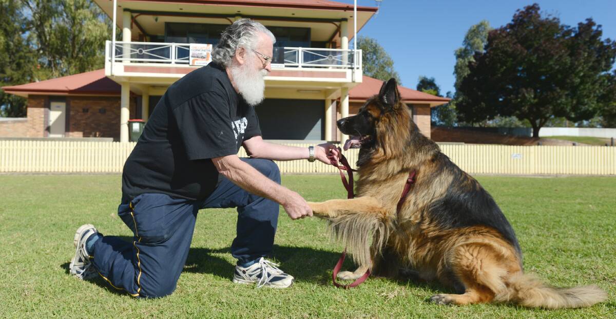 DOGS’ DAY OUT: Tamworth RSPCA president Brian Pierce with his long-haired German shepherd, Bruin, ready to walk for charity next weekend. Photo: Barry Smith 060514BSB03