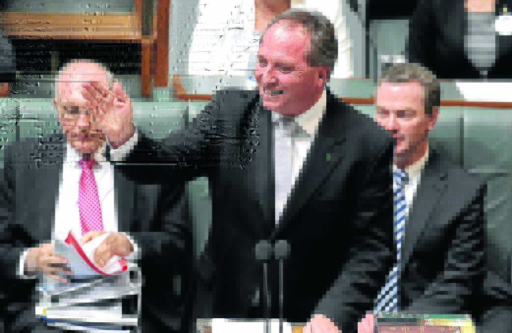 FISCAL FREEZE: New England MP Barnaby Joyce has denied claims Tuesday night's "austerity budget" was a tough budget for his electorate. He is pictured during Question Time late last year.