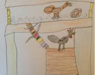 EGGCELLENT: One Bullimbal school student’s impression of the chicken coop to be built next week.