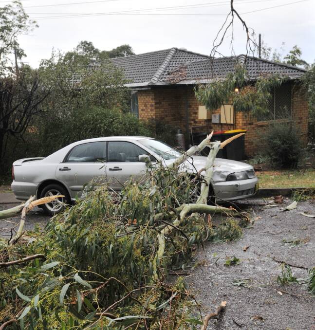 COSTLY: An East Tamworth man is counting the cost after his car broke the fall of a large tree branch yesterday afternoon. Photo:  Geoff O'Neill 160314GOF02