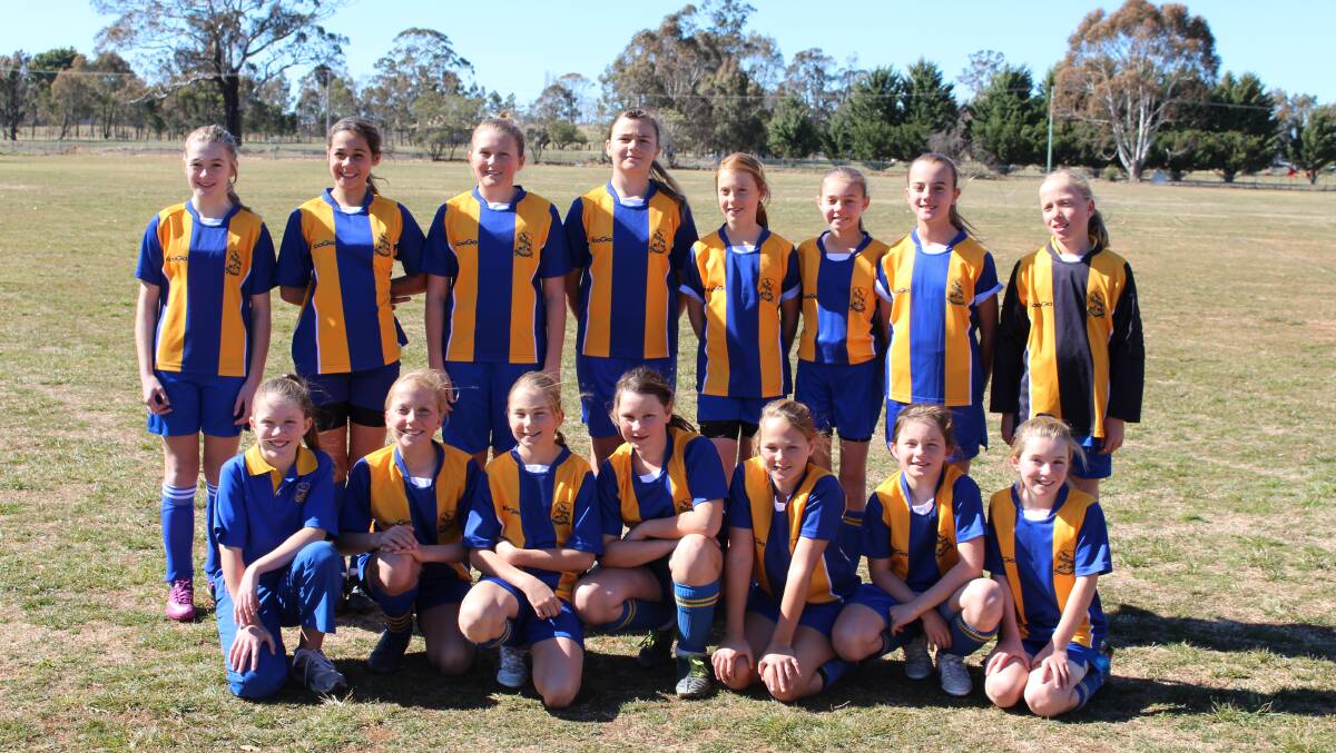 The Tamworth Public side of: Back (L-R) Hannah Bowden, Wynona Livermore, Georgia Griffiths, Jenarli Parry, Emma Moss, Ronika Brown, Taleaha Herden, Jane Irvine; Front (L-R) Mikela Bailey, Amy Irvine, Danielle Bishop, Sami Schuberth, Jamine Alexander, Mim Barbara and Chelsea Emery  fell just short of winning the girls football regional title.
