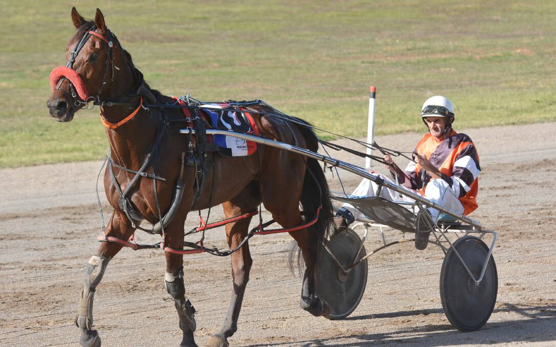Peter Missen brings Elboron back after its maiden win last Thursday at Tamworth. 
Photo: Barry Smith  080514BSF10