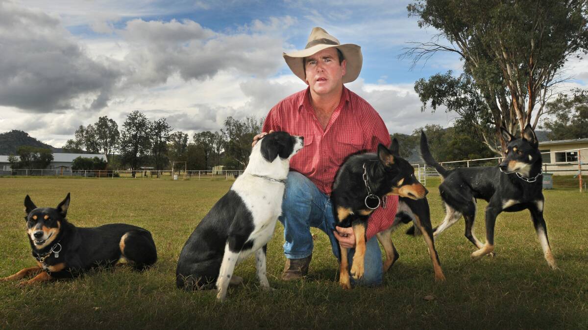 GONE TO THE DOGS: Armidale’s Alan Lambert is heading to the Wee Waa show with his sheep dogs.  Photo: Gareth Gardner  070514GGF02