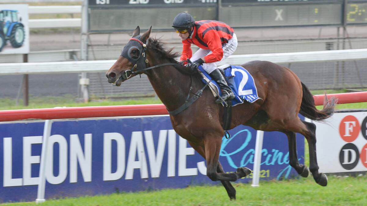 Robert Thompson rides Collar (NZ) home in the Mornington Handicap on Tamworth Cup day late last month. He has since ridden his 4000th winner. 270414BSG10