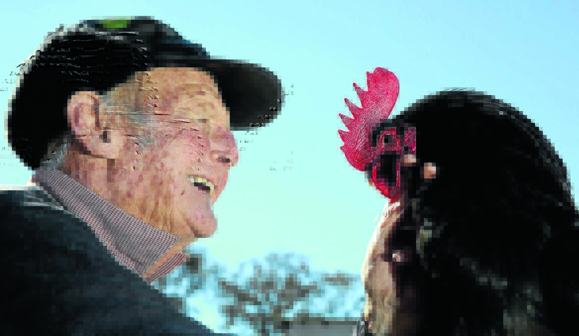 FOWL PLAY: Armidale Poultry Club president Barry Simpson with one of his prized chooks. The club will be hosting its annual poultry auction this Saturday. Photo: Matt Bedford