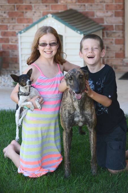 Izzabella (10) and Taj (7) Brett with Marley (left) and Roxey the greyhound.  Photo: Barry Smith. 020315BSE02