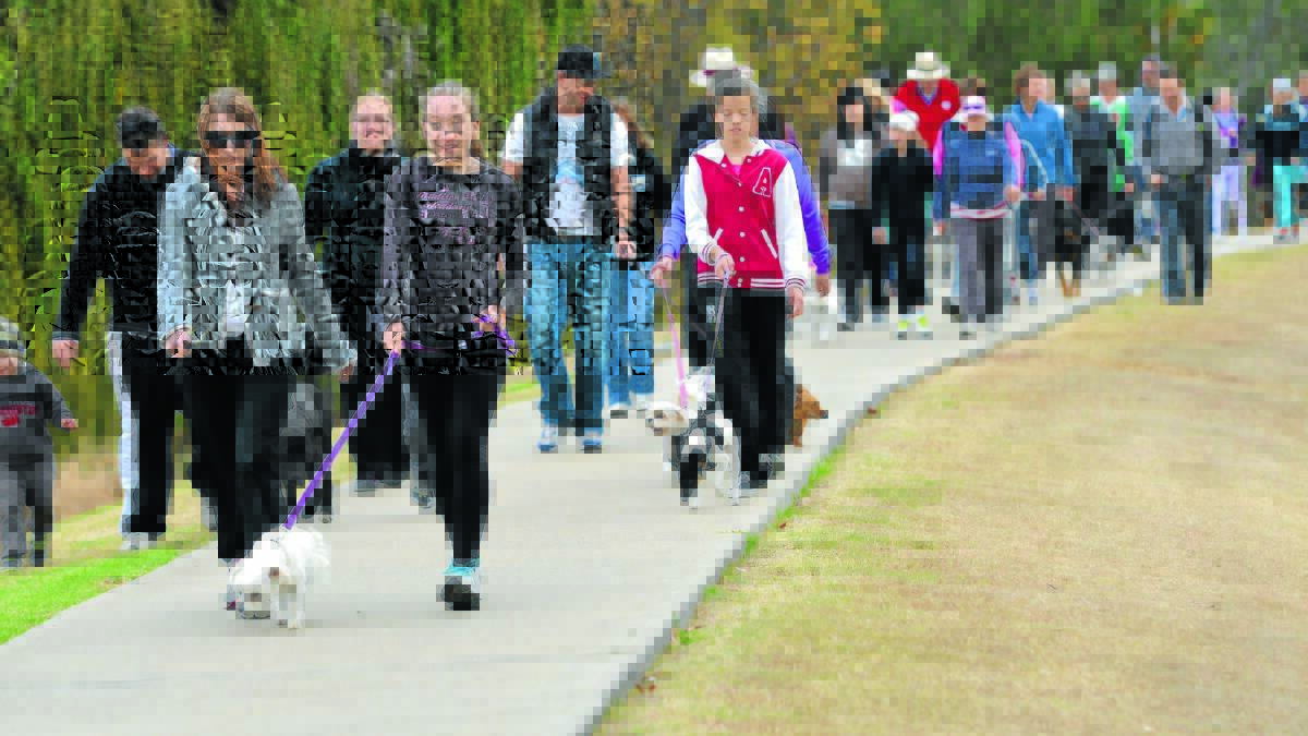 WALKIES: The RSPCA’s Million Paws Walk attracted about 400 dog owners and their charges last year and is ready to roll again this Sunday. Photo: Barry Smith 190513BSA33