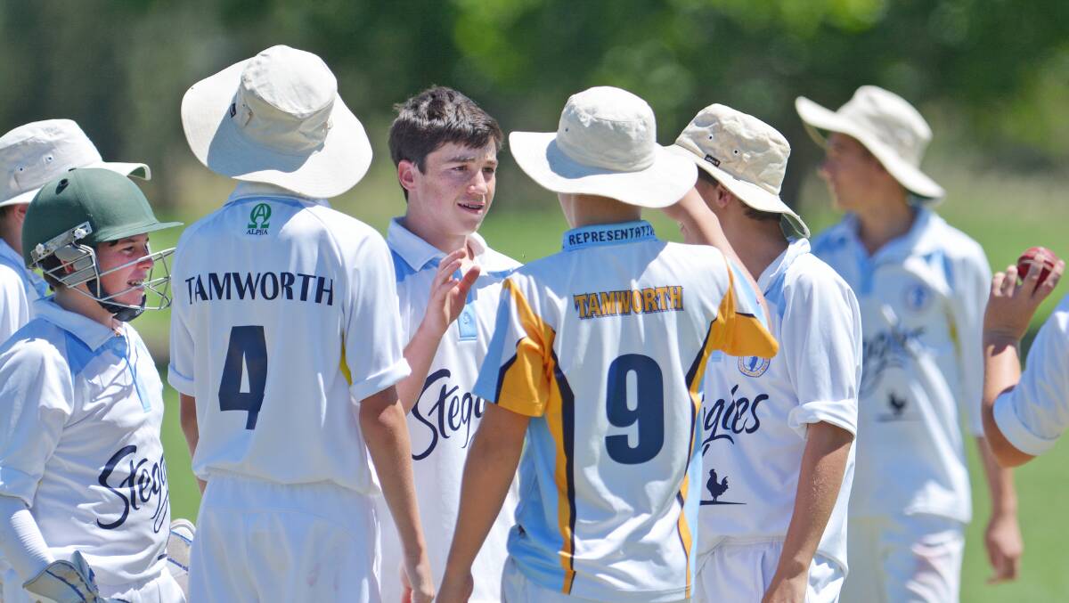 Sam Buster is congratulated by his team-mates after one of his two wickets for the Tamworth 14s.  Photo: Barry Smith  141214BSF10