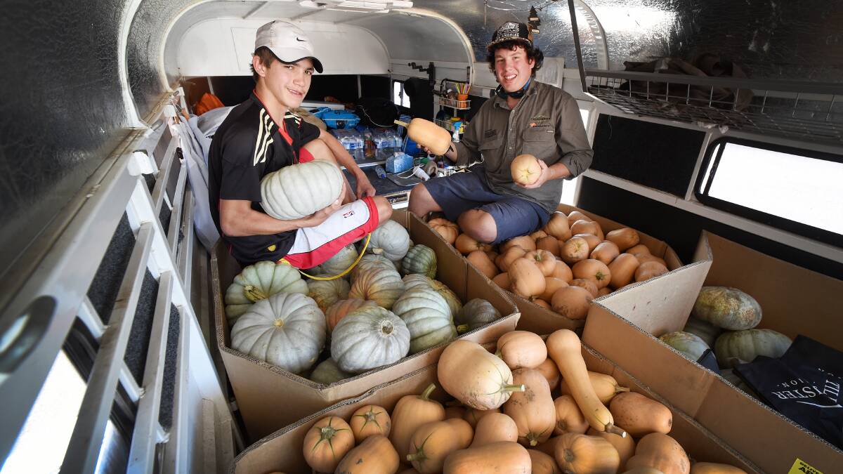 GIFT OF GIVING: Country boys Tyler Murray and Nathaniel Keuntje jump aboard the pumpkin run to feed the homeless in Sydney. Photo: Gareth Gardner 130415GGA03