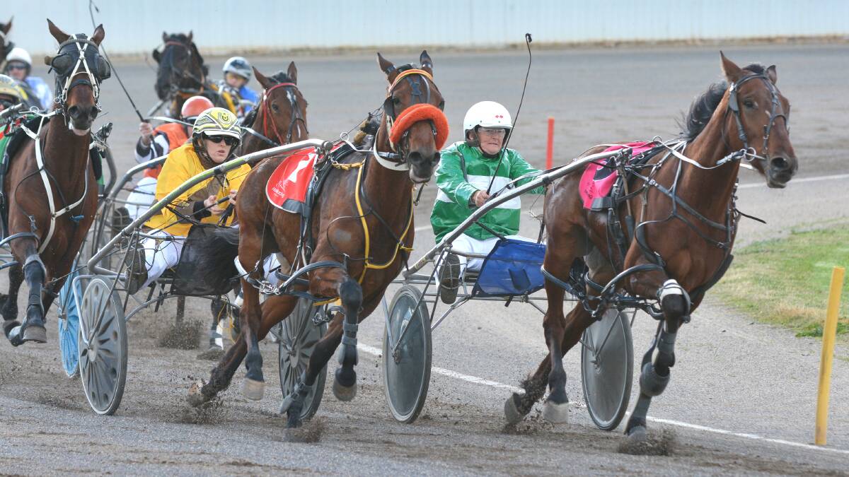 Sally Torrens and Tirunesh (yellow colours)  make their winning attack on Bulldust (driven by Lola Weidemann)  in the opening race at  Tamworth yesterday. Photo: Barry Smith 100714BSC02