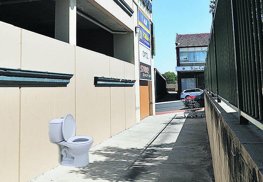 A portable loo could go in the Brisbane St alleyway that leads to Centrepoint