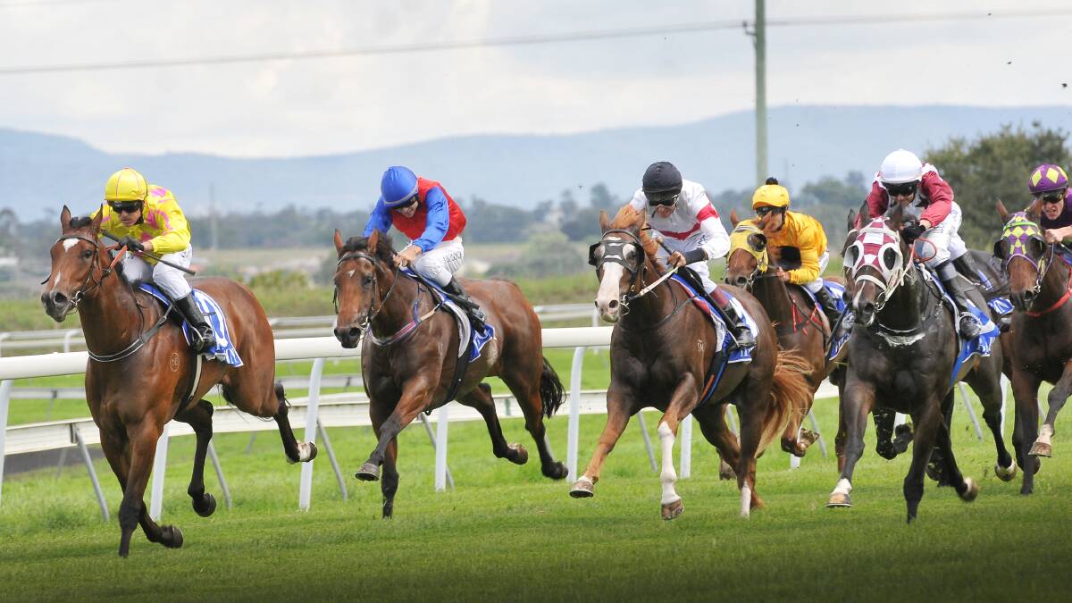 Idle Shiver (second from left) is about to split Jesse Canyon and Regarding Henry to win the first race for Michelle Fleming at Tamworth yesterday. 
Photo: Gareth Gardner  010414GGF01