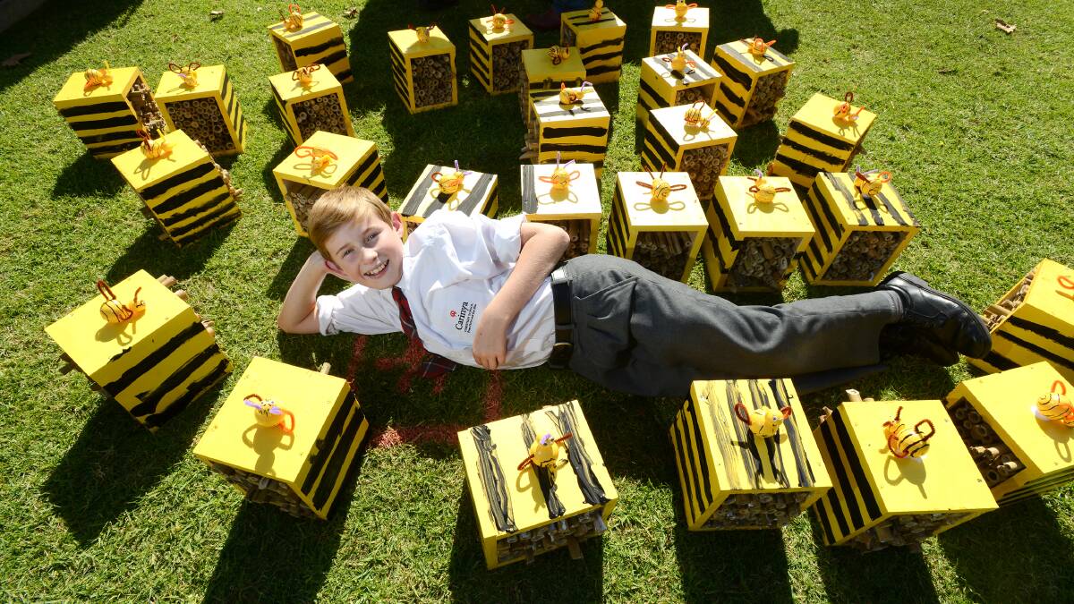 EVERY BIT HELPS: Carinya Christian School student Joshua Attard shows off the sustainable beehives made by students that formed part of last week’s Namoi Sustainable Living Expo in Tamworth. Photo: Barry Smith 090514BSC01