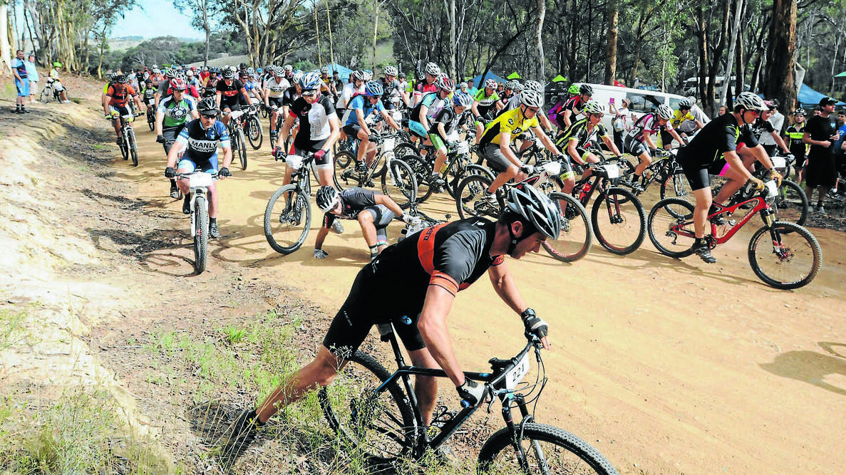 Around 217 riders take off in the first leg of the Fairfax Media Evocities MTB Series held in the Kinross State Forest near Orange. Photo: JUDE KEOGH 