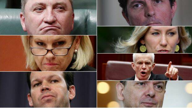 Seven MPs were caught up in the citizenship saga. Photo: Fairfax Media
