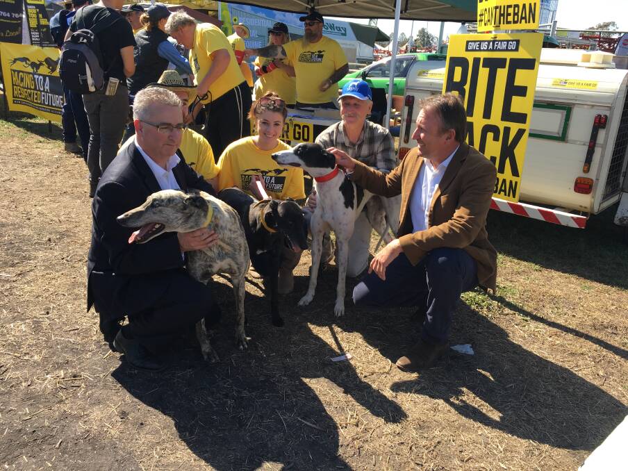 BAN TALKS: Greyhound Breeders, Owners and Trainers Association chief executive Brenton Scott, Mel Cleghorn and John Gatty of the Greyhound Alliance and Barwon MP Kevin Humphries at AgQuip yesterday, with Billy, Bella and Bullet. Photo: Carolyn Millet