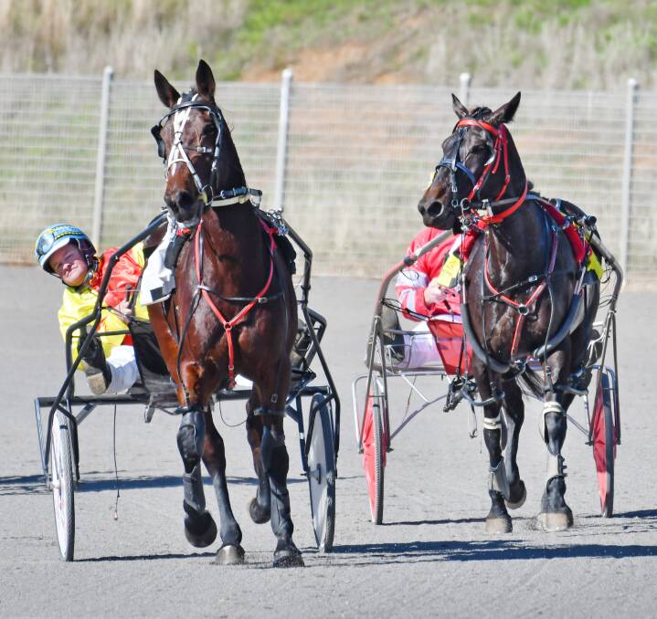 Guy Chapple and Our Sleeping Beauty won the first race at Tamworth Paceway last Thursday but the mare might now be retired. Photo: Barry Smith 160616BSC07